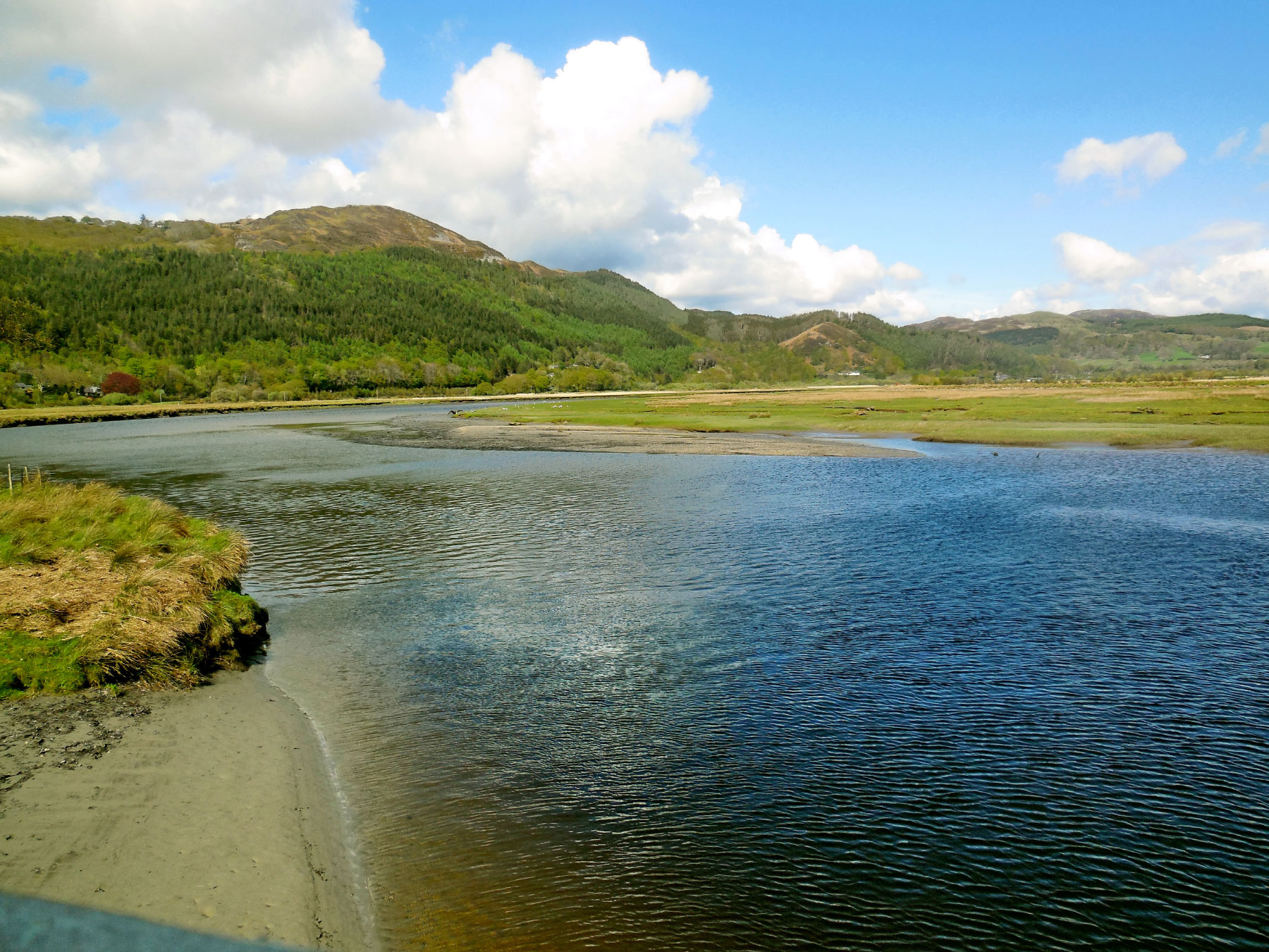 Bala